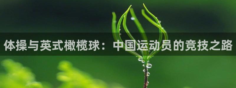 杏运平台