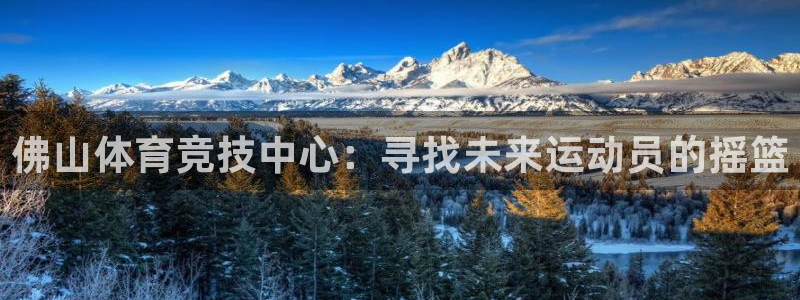杏运当头