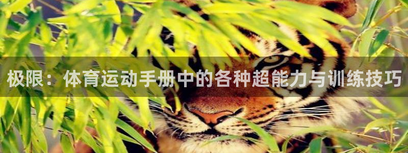 杏运f平台注册