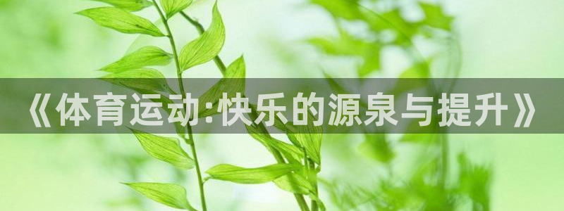 杏运电动汽车多少钱一辆