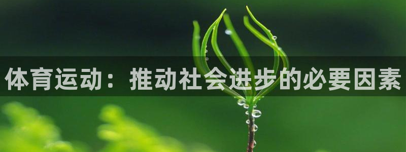 杏运5招商