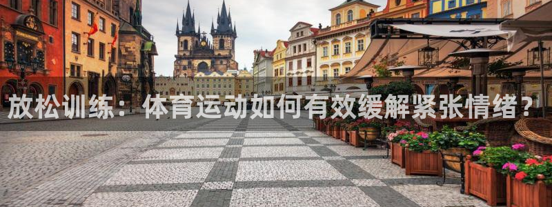杏运汽车官网