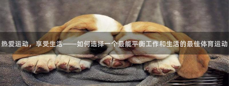 杏运礼盒