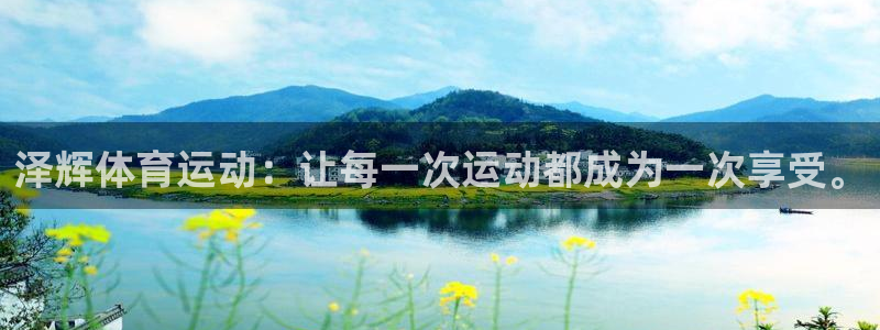杏运能源
