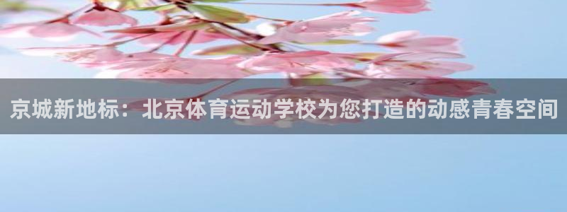 杏运电动汽车多少钱一辆