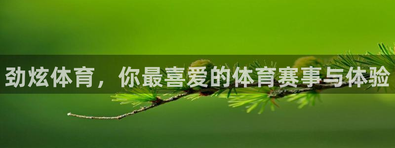 杏运3登陆
