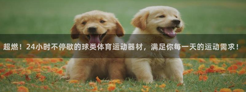 杏运平台注册