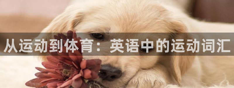 杏运体育平台开号链接