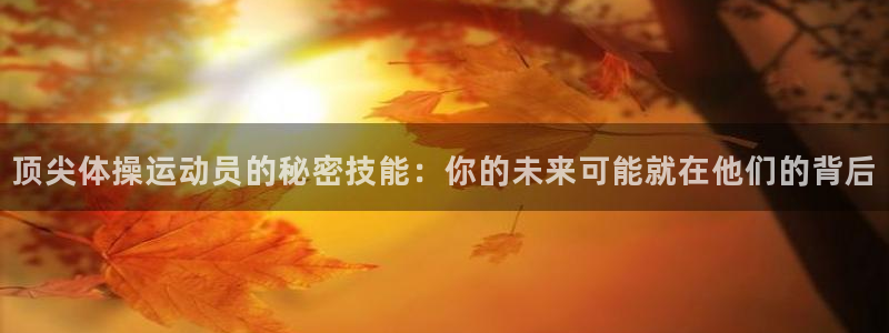 杏运体育网页版入口