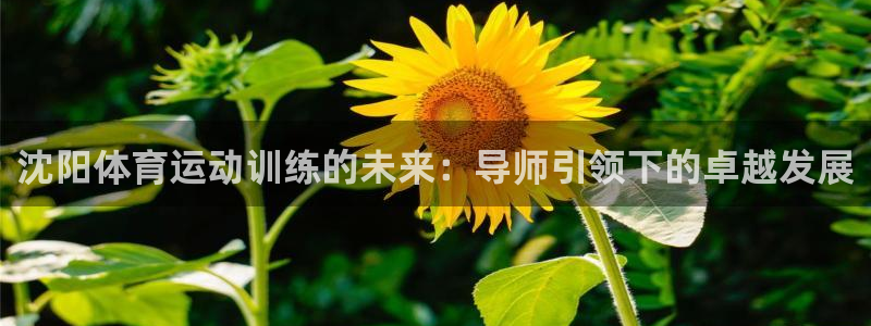 山东杏运新能源汽车有限公司