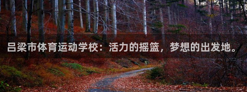 成都杏运电子有限公司