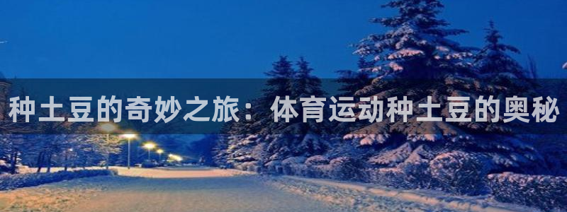 杏运零能源集团