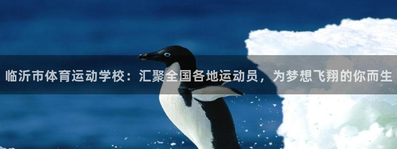 杏运体育1招商