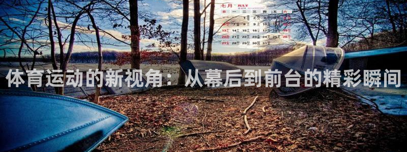 杏运汽车官网