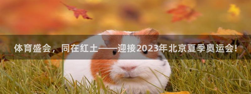 杏运2代理注册