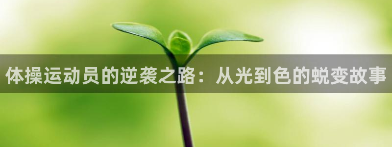 杏运汽车厂家地址